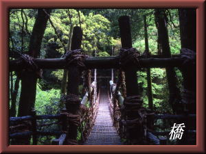 ���ǎ��M�������[