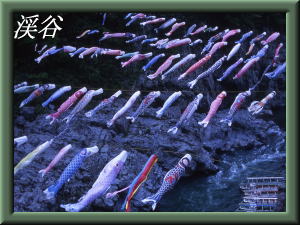 �k�J�ǎ��M�������[