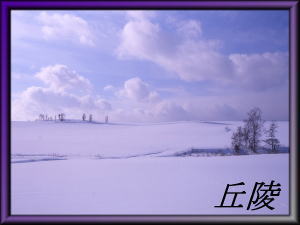 �u�˕ǎ��M�������[