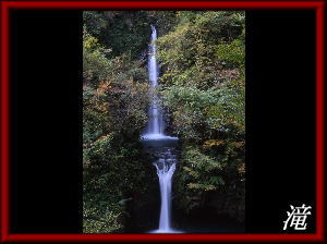 ��ǎ��M�������[