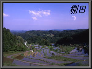 �I�c�ǎ��M�������[